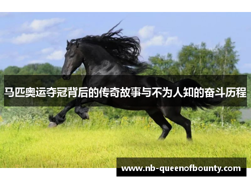 马匹奥运夺冠背后的传奇故事与不为人知的奋斗历程 马匹奥运夺冠背后的传奇故事与不为人知的奋斗历程